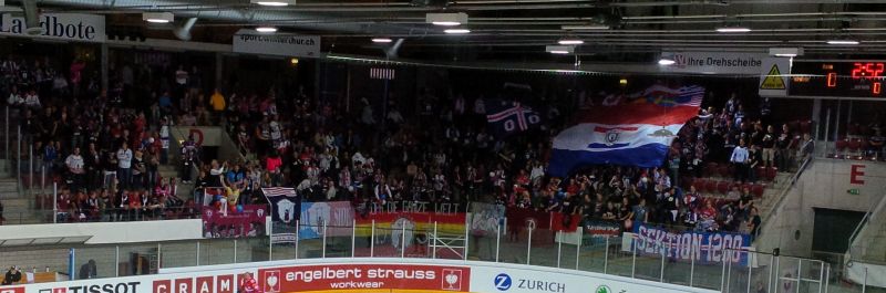 eisbaeren_intl.jpg