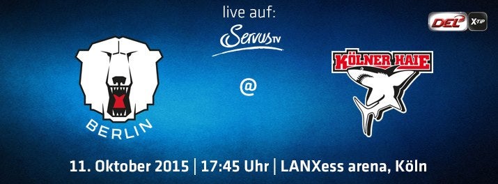 Heute live: die Eisbären in Köln!