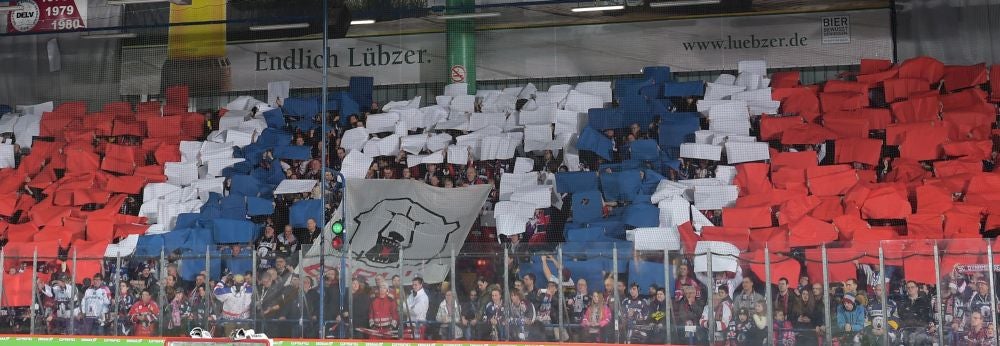 Eisbären kehren in den Wellblechpalast zurück