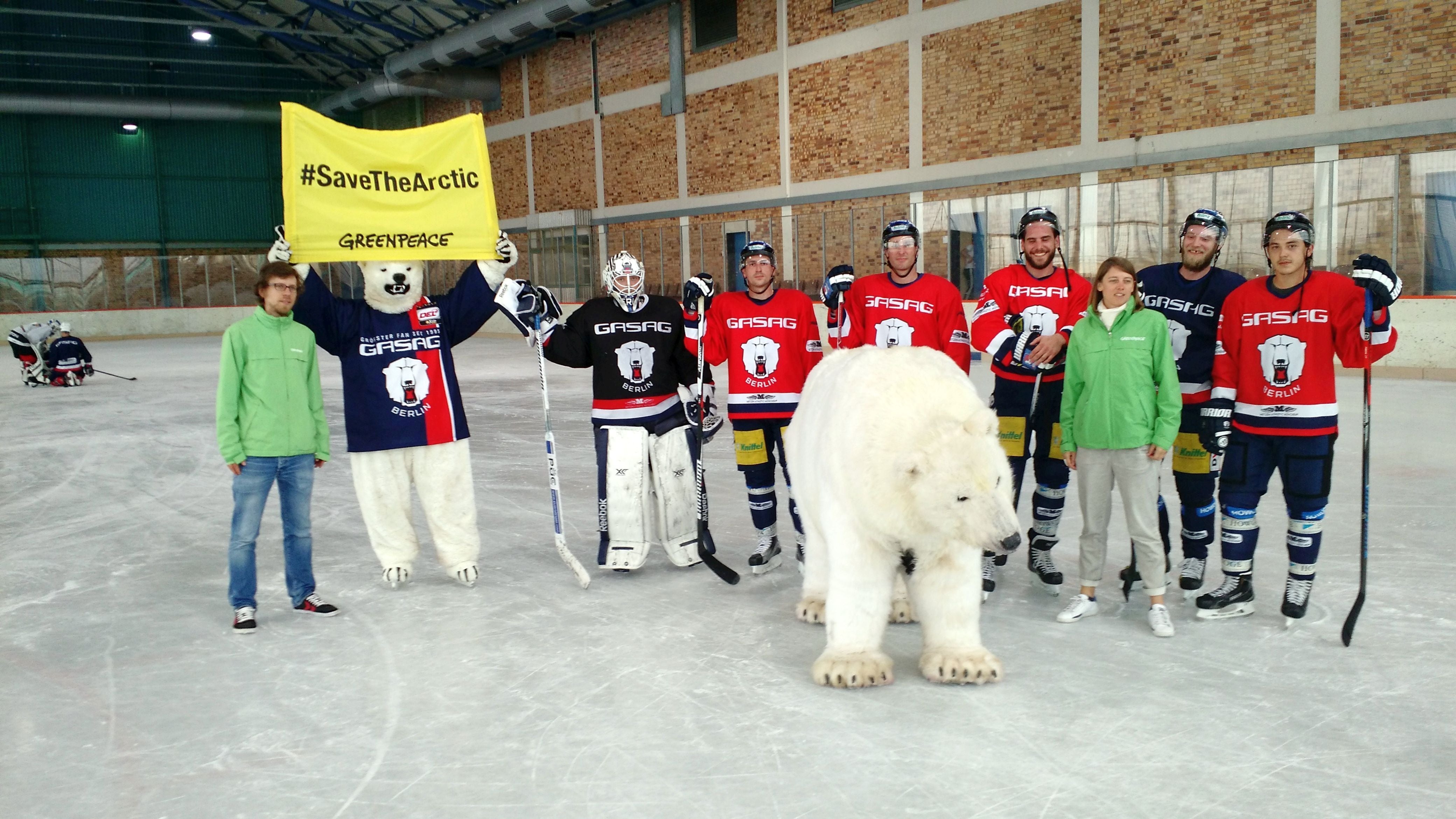 Eisbären müssen zusammenhalten