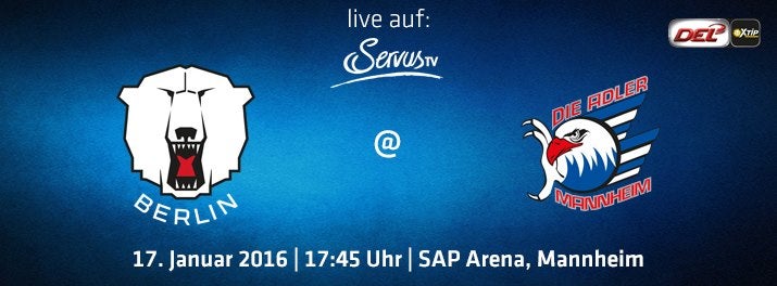 Heute live auf ServusTV: die Eisbären in Mannheim!