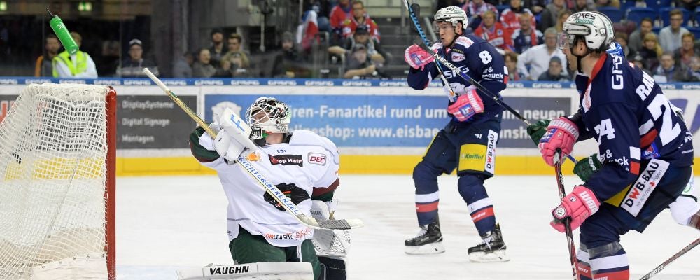 Heute: die Eisbären bei den Augsburger Panthern!