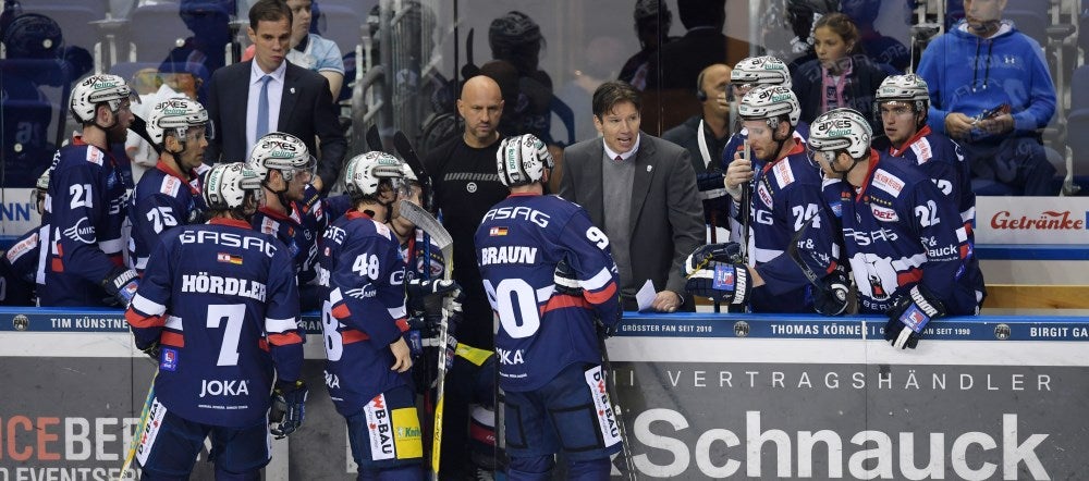 Eisbären empfangen am Wochenende Augsburg und Mannheim