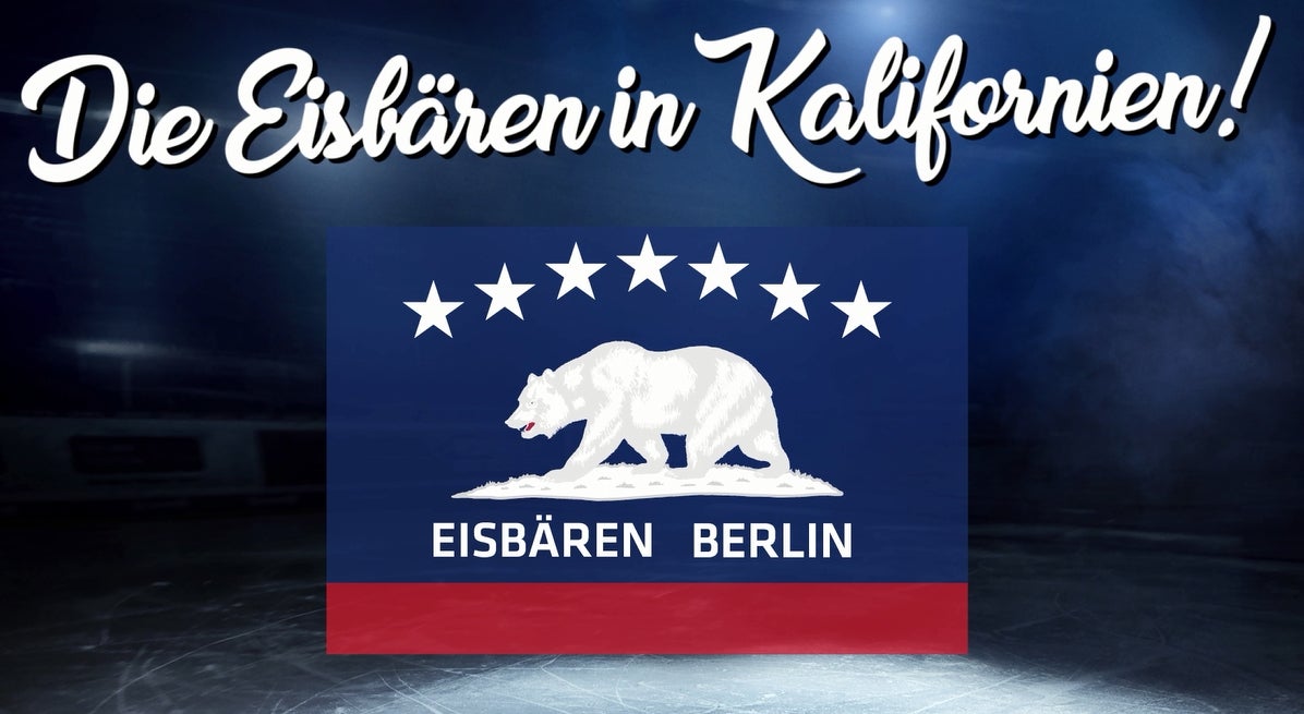 Die Eisbären in Kalifornien