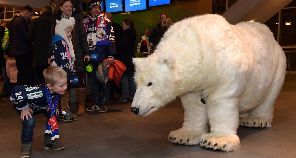 Eisbären für die Arktis