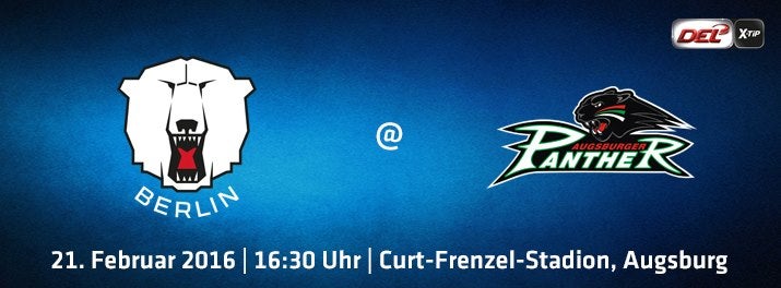 Ab 16:30 Uhr live: die Eisbären in Augsburg!