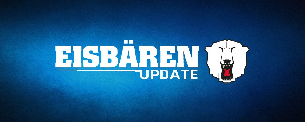 Eisbären-Update (04. Dezember 2015)