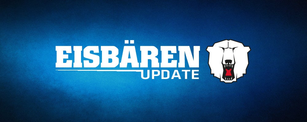 Eisbären-Update (31. August 2015)